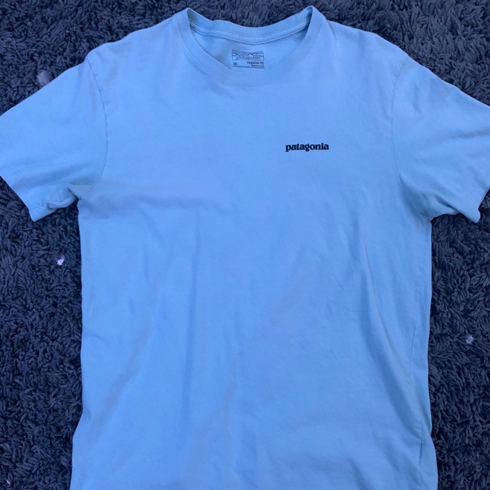 Patagonia tee shirt